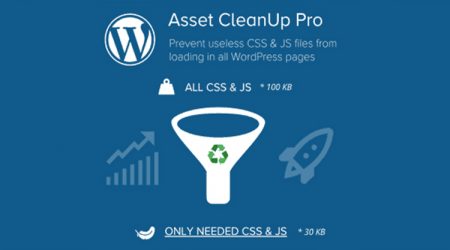 Asset Cleanup Pro