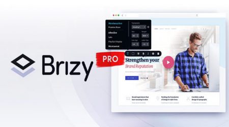 Brizy Builder Pro