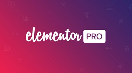 Elementor PRO + Pro Templates